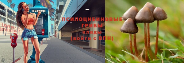 таблы Горняк