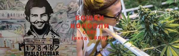 mdpv Вяземский