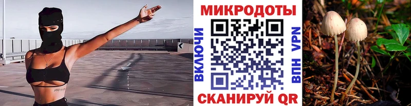 купить  цена  Архангельск  Псилоцибиновые грибы ЛСД 
